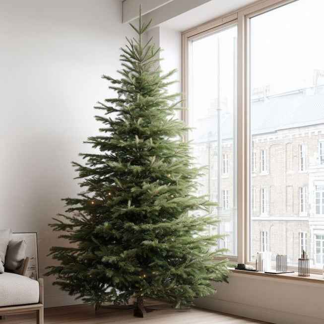Christmas tree collection and recycling service for sustainable disposal and waste management